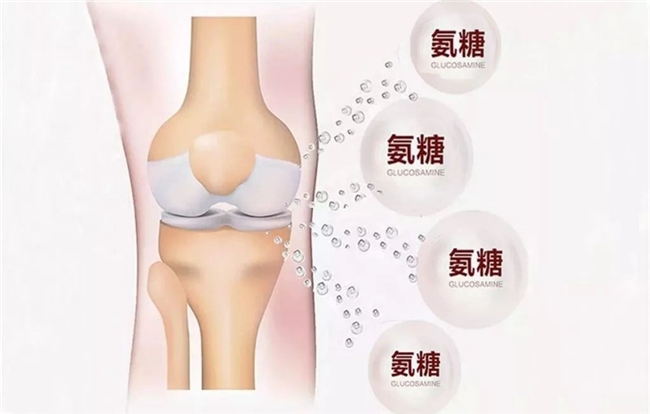 盐酸和硫酸氨基葡萄糖区别在哪?谁才是治疗骨关节炎的优选