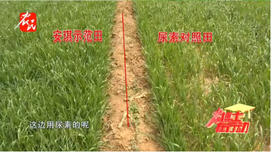 1b1f7b6fdbb3f084f075da90772a1f14