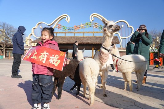 微信图片_20260127104752_15_68