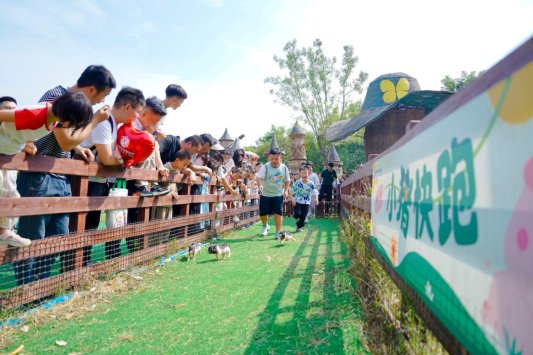 8efd82d8282552db1891bc705cbdf92e