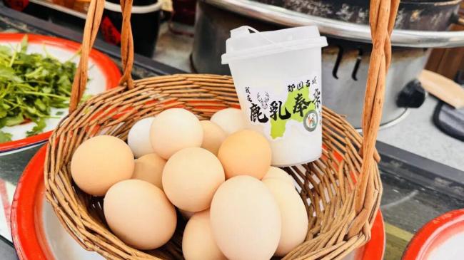 郯国古城｜2026焕新计划 全年全天100余场演艺 打造“永不落幕”的文化盛宴