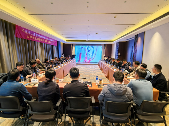 山东省乳腺肿瘤中青年专家研讨会在平邑成功举办