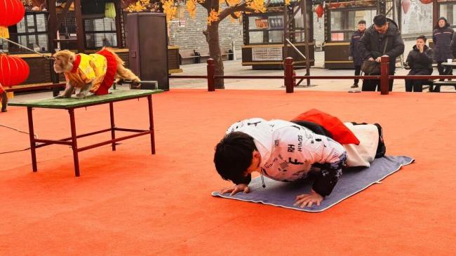 郯国古城｜2026焕新计划 全年全天100余场演艺 打造“永不落幕”的文化盛宴