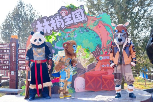 微信图片_20260209150701_599_225