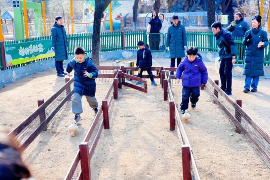 微信图片_20260209152503_604_225