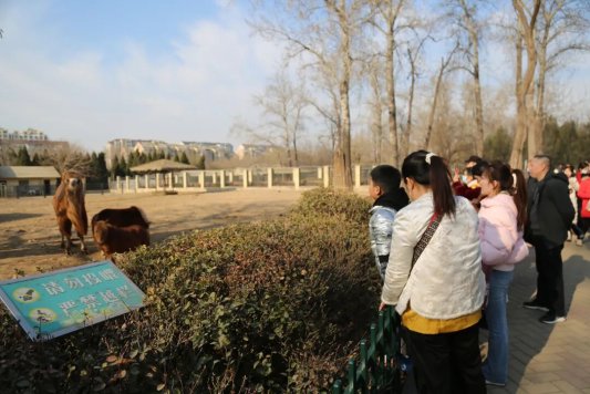 4a633830db176604d98e38266b1d31b8