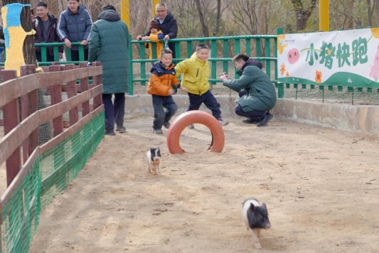 f0a7beae4a033f9244d5a560be673cc1