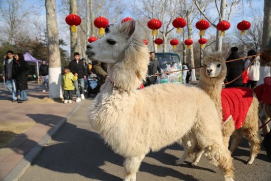 10a406e0e5c3c222eb17e2964eccc69a