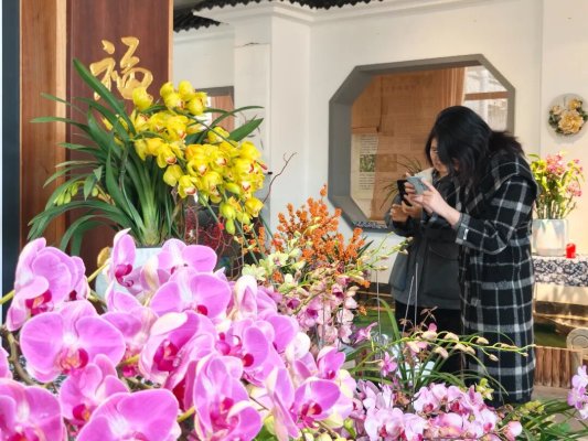 8b507d1a7ec3e9aa81ca8d051cde1a03