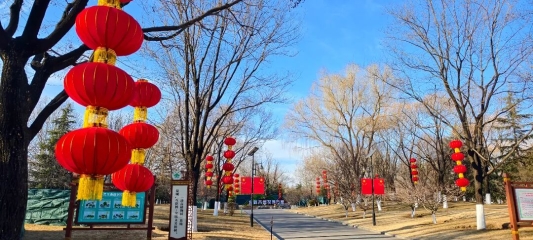 1aa0d75b0dbd2362dcfa85f51566c1dc