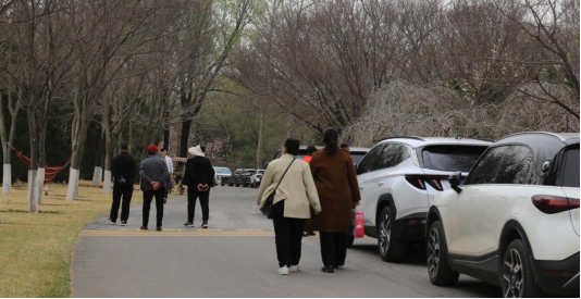 bd7767ec2d418dae0dd675de4649015f