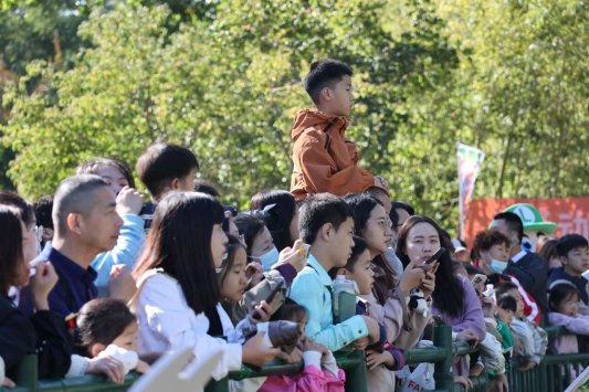 3fba79cfd9aea607ff06d347806e25ff