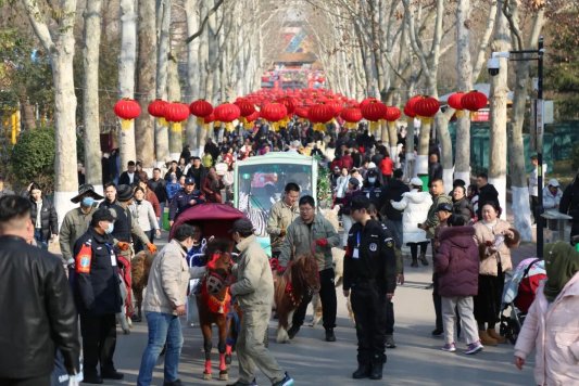 bf06f931dd77ffe04ca966fcd610d735