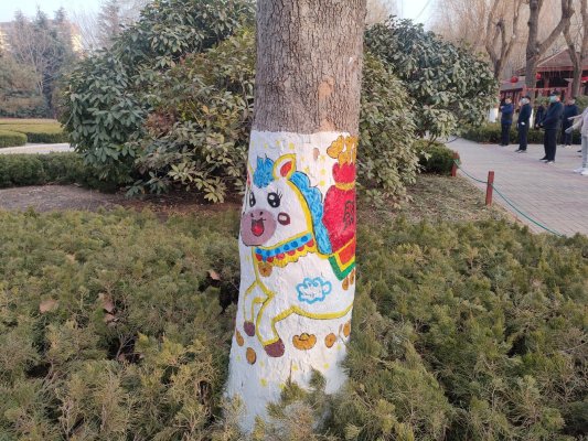 d56bd79ef575c0a1a67d8379b5c3f307