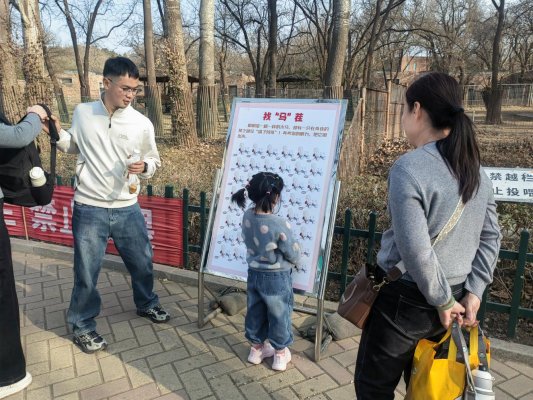 微信图片_20260218105037_56_29