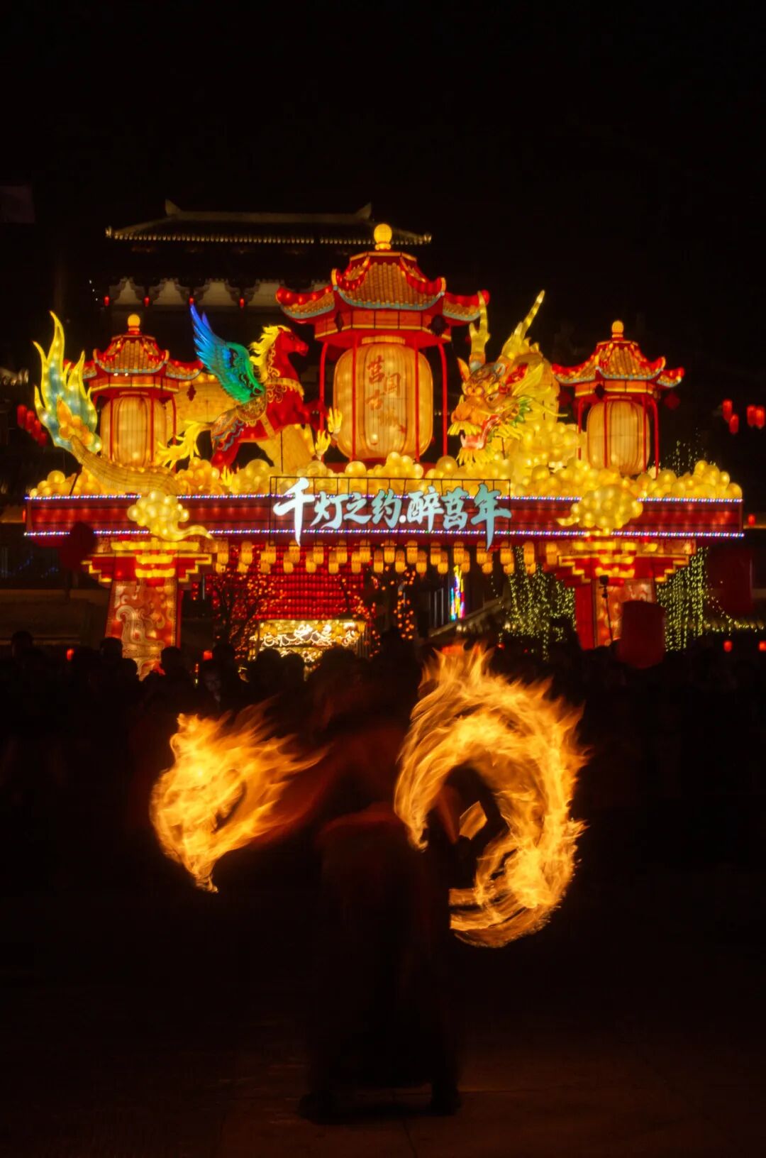 央视三度聚焦!这个春节,日照这儿又火出圈了!