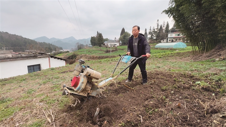 【新春走基层·走进贵州】峰岩村:跟着农艺师去下乡