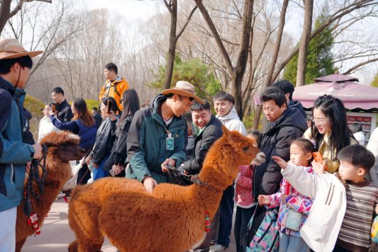 微信图片_20260221131940_889_225