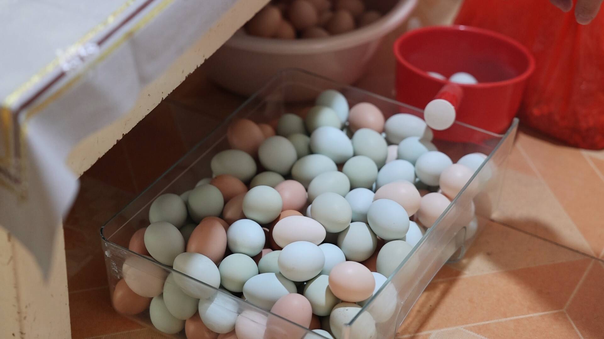 新春走基层|村里的家电送货车 成了乡亲们的“国补”代办员