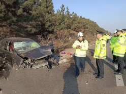 00c639fc1883e373236462d5b3bc03b0