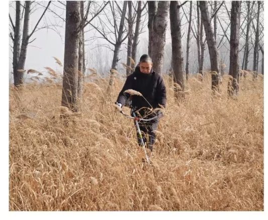 微信图片_20260224163107