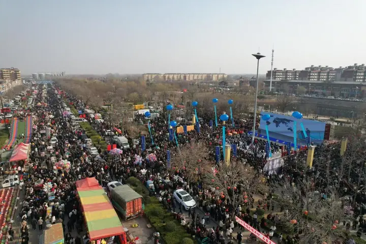 平原恩城鸽子会照片2