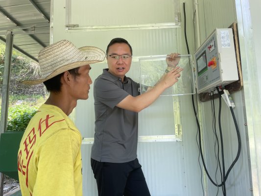 技术人员指导烟农烘烤