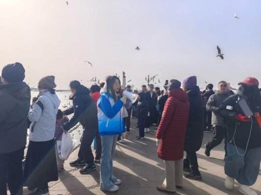 青岛市南:海滨蓝护春节红