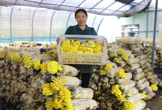 微信图片_20260227163841_97_368