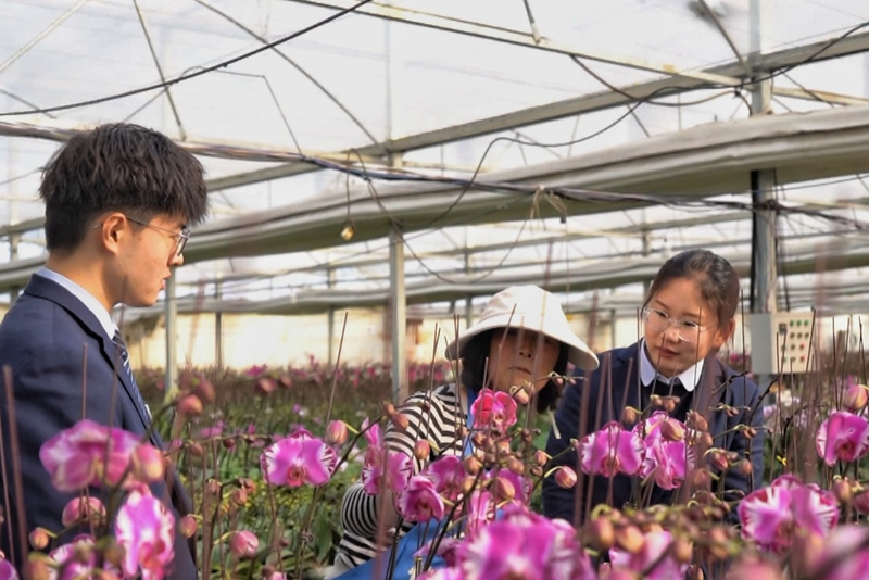 新春走基层 | 罗庄农商银行:护航新春消费 为年味添“金”