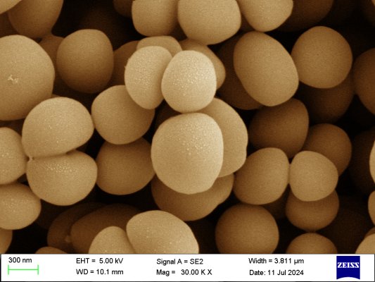 9a74ab1c3f64befdb0014797a415d803