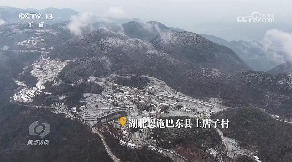 焦点访谈丨产业兴、乡村美、百姓富 “穷窝窝”如何走上振兴致富路?