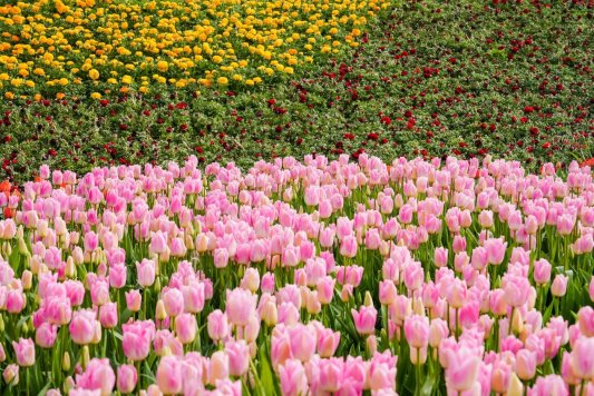 微信图片_20250316094644