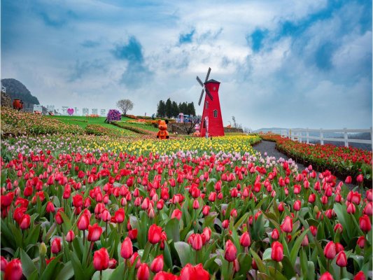 fd8a235c8ae5602ec50f0b67400a29f