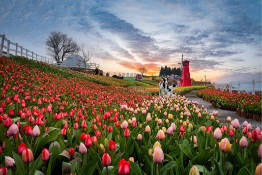 微信图片_20260304151205