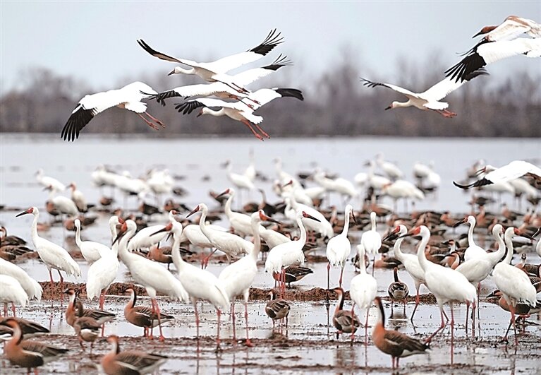 民生福祉绘就新画卷 民生福祉绘就新画卷