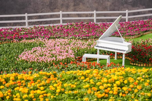 微信图片_20250312145643