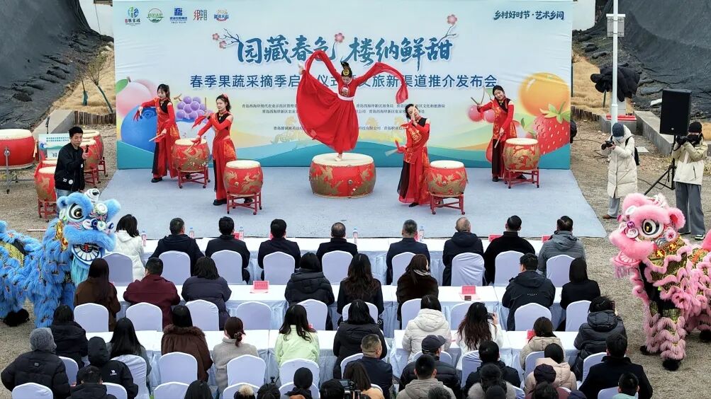 画美达尼青岛市乡村振兴片区春季果蔬采摘季启幕,全年80余场文旅盛宴邀您赴约