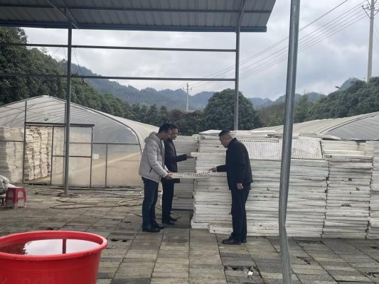 c7955b5a-0af0-4d81-b377-90e6441d2e3a(1)