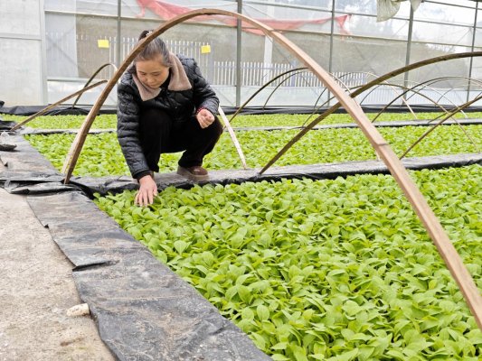 6acacb2d8738c4f0cfda510c781d6e62_origin(1)