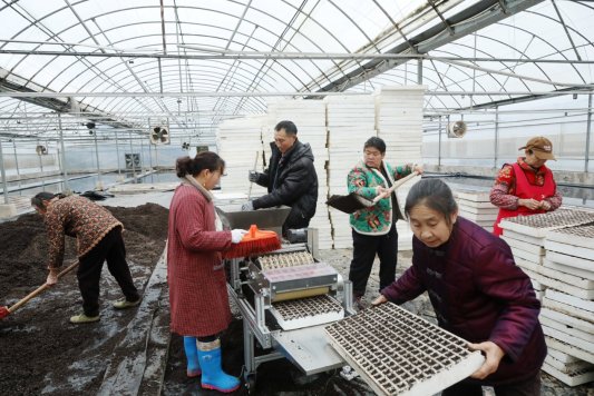 D:杨秀明20261.通讯3.10育苗正当时机器播种 (7).JPG