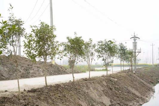 2b3a6db972d3592862b3005e8f04cf13_origin