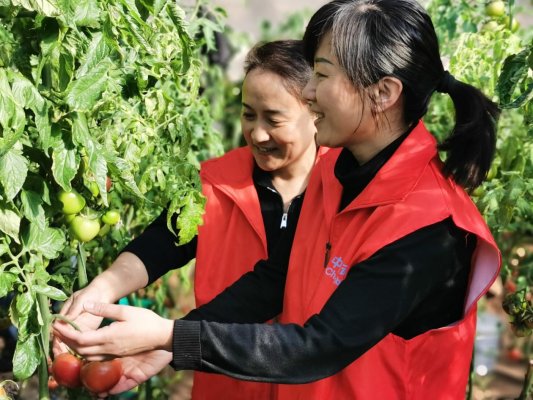 微信图片_20260307132905_63_546