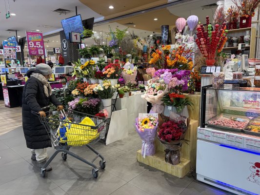 375643bc8f5f71aaa1b2ac1dee9bc84e