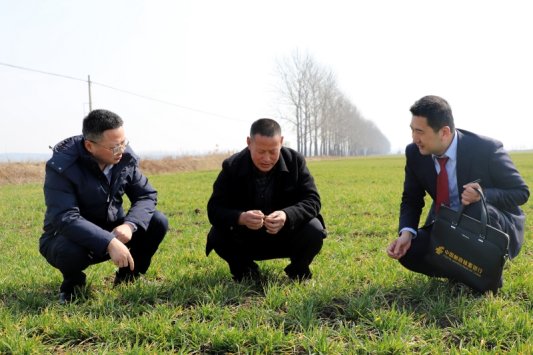 临沭春耕备播田间