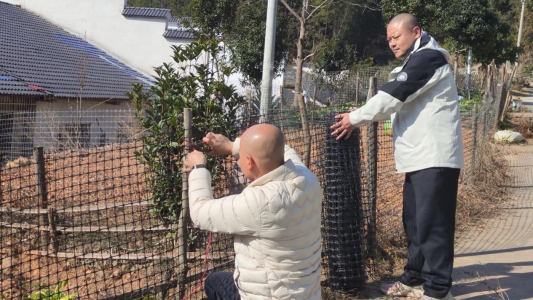 清水村修整菜园_副本