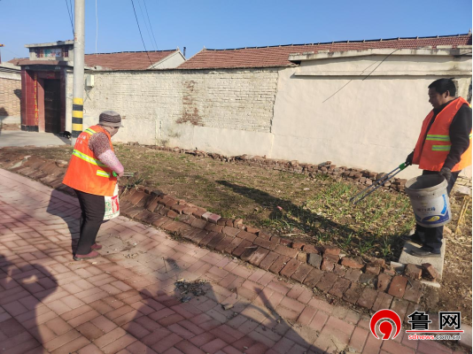 德州市陵城区糜镇:环境整治不停歇 人居环境焕新颜