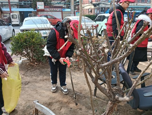 微信图片_20260309103636_1570_5