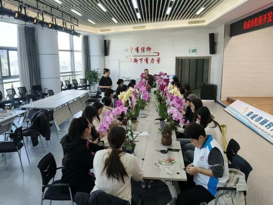 48a8ae2a907e22763c9d7264cd386ab4