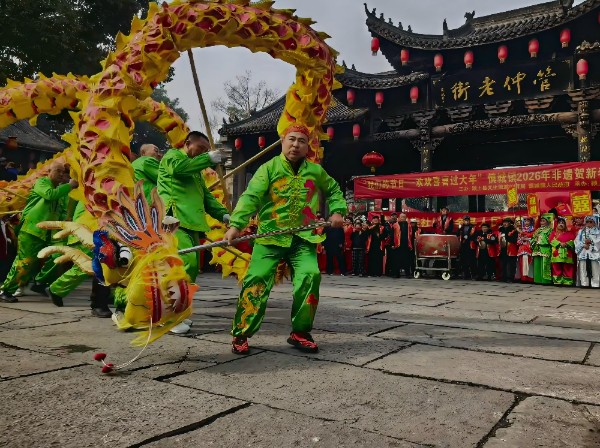 龙舞新春 匠心履职 —— 记“颍上龙灯”非遗传承人杨伟